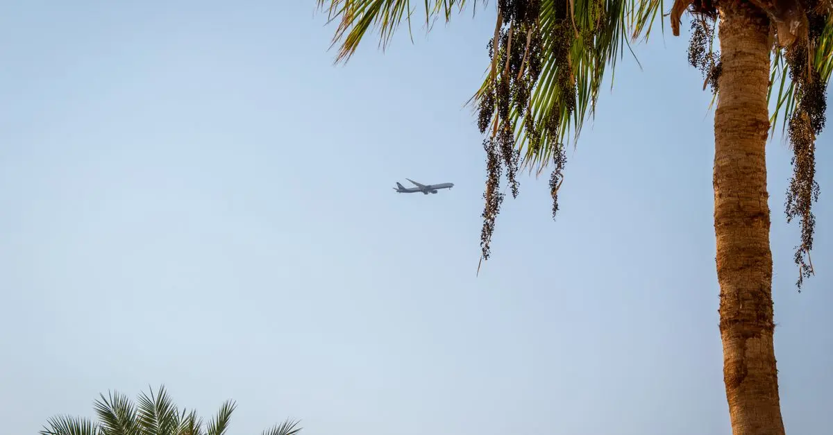 Die besten Tipps für die Buchung von Flug- und Reiseangeboten