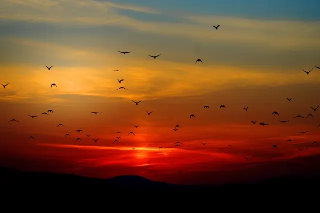 Wie Sie die besten Flug- und Reiseangebote finden